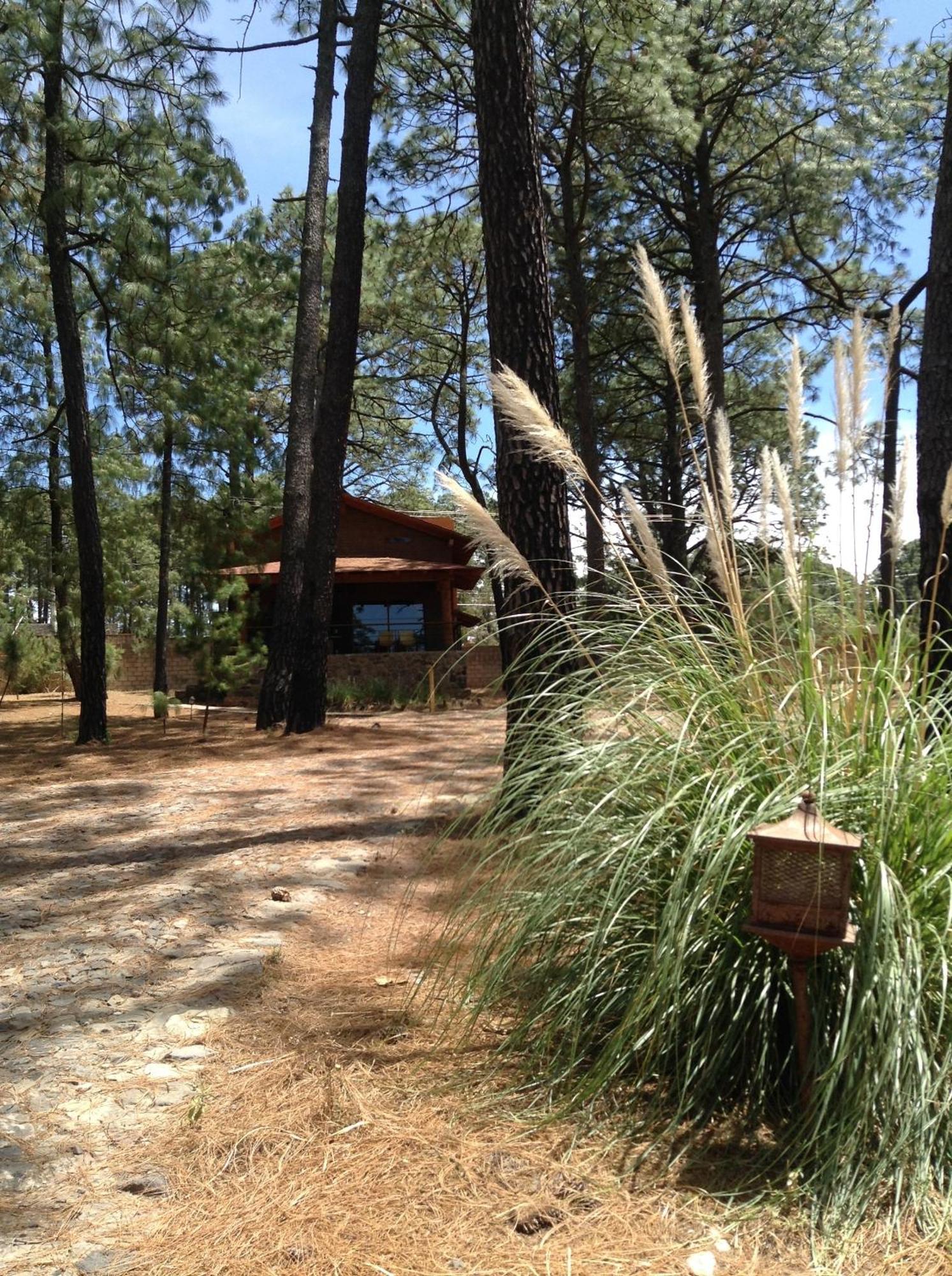 Monterra Tapalpa Otel Oda fotoğraf