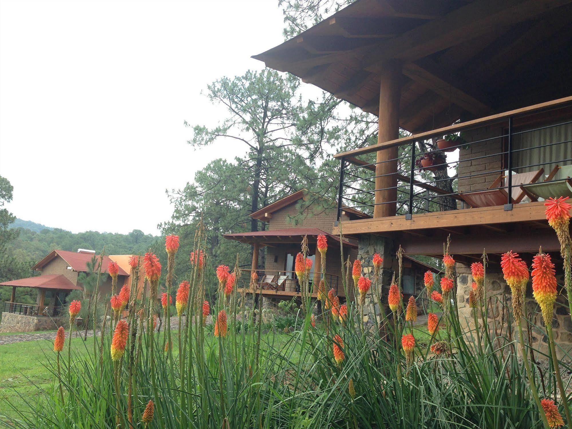 Monterra Tapalpa Otel Dış mekan fotoğraf